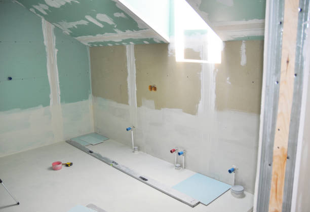 Best Mold Damage Restoration  in Danville, IA