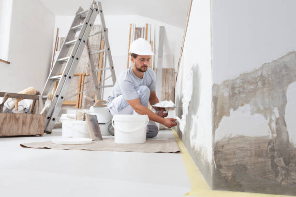 Professional Mold Removal in Danville, IA