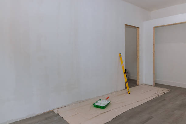 Biohazard Mold Removal in Danville, IA
