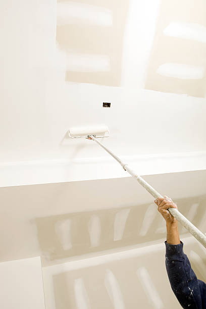 Best Real Estate Mold Inspection  in Danville, IA