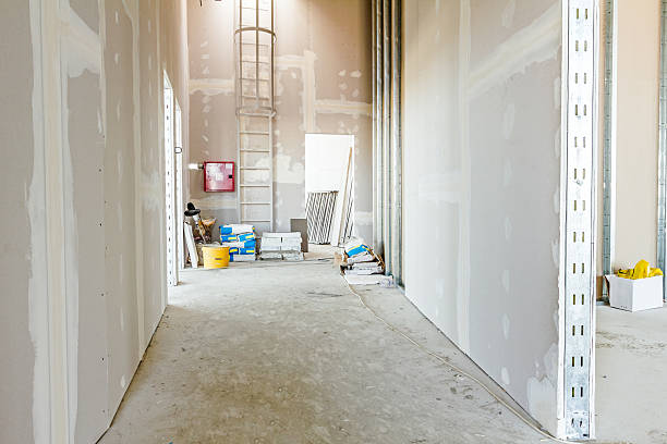 Best Environmental Consulting for Mold Prevention  in Danville, IA